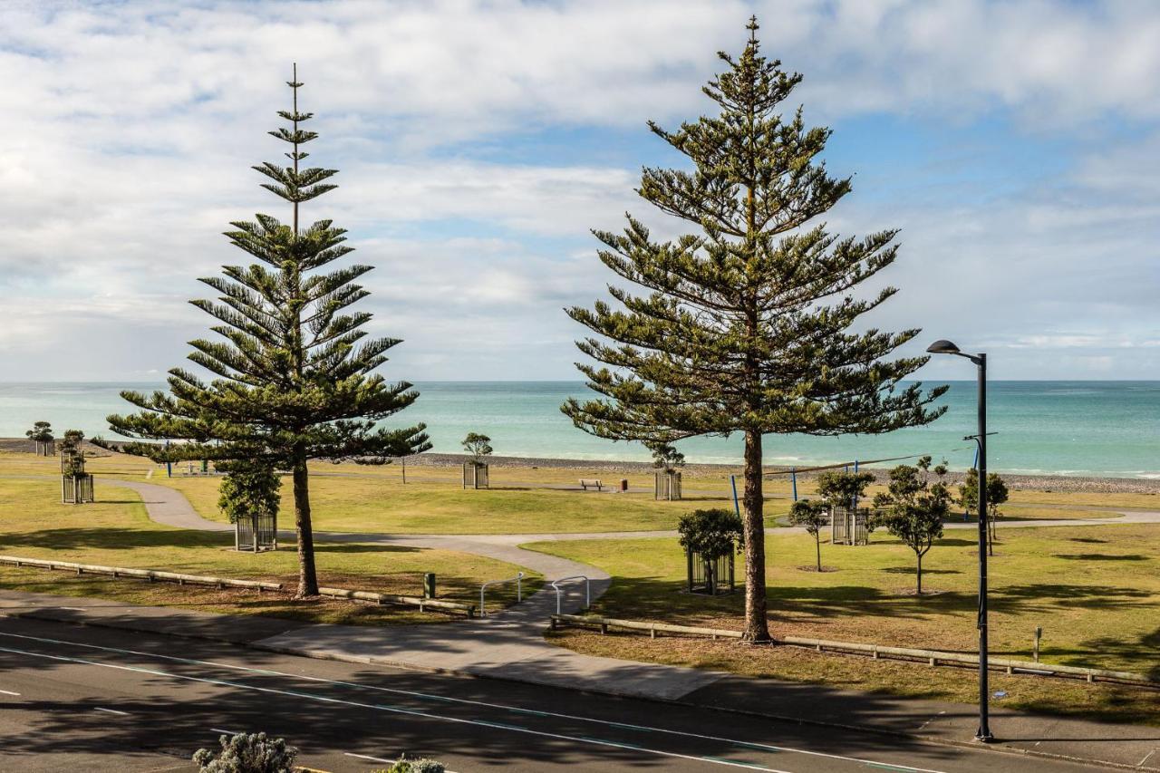 Pebble Beach Motor Inn Napier Εξωτερικό φωτογραφία Araucaria columnar